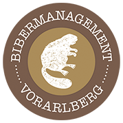 Bibermanagement Vorarlberg