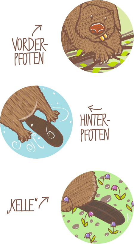 kinder_pfoten